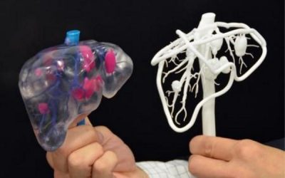 6 Creative Applications of 3D Printing